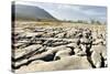 Limestone Pavements Above Southerscales Scars-Tony Waltham-Stretched Canvas