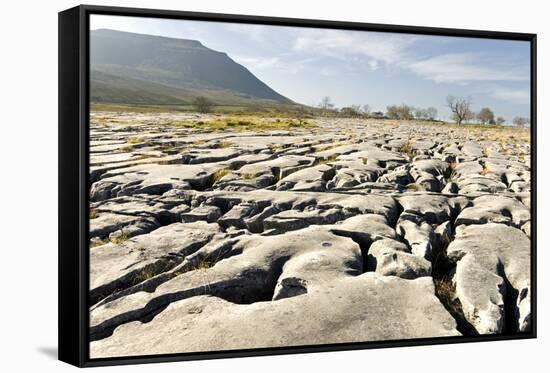 Limestone Pavements Above Southerscales Scars-Tony Waltham-Framed Stretched Canvas