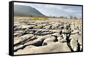 Limestone Pavements Above Southerscales Scars-Tony Waltham-Framed Stretched Canvas