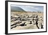 Limestone Pavements Above Southerscales Scars-Tony Waltham-Framed Photographic Print