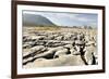 Limestone Pavements Above Southerscales Scars-Tony Waltham-Framed Photographic Print