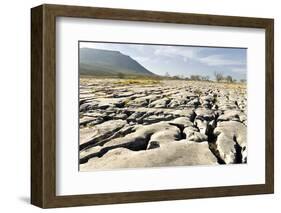 Limestone Pavements Above Southerscales Scars-Tony Waltham-Framed Photographic Print