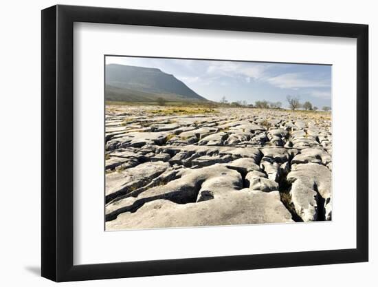 Limestone Pavements Above Southerscales Scars-Tony Waltham-Framed Photographic Print