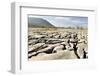 Limestone Pavements Above Southerscales Scars-Tony Waltham-Framed Photographic Print