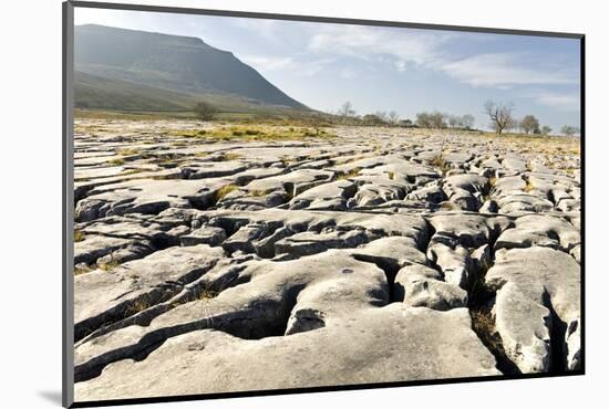 Limestone Pavements Above Southerscales Scars-Tony Waltham-Mounted Photographic Print