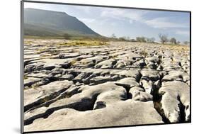 Limestone Pavements Above Southerscales Scars-Tony Waltham-Mounted Photographic Print