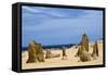 Limestone Pillars in the Pinnacle Desert-Alan J. S. Weaving-Framed Stretched Canvas