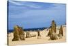 Limestone Pillars in the Pinnacle Desert-Alan J. S. Weaving-Stretched Canvas