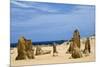 Limestone Pillars in the Pinnacle Desert-Alan J. S. Weaving-Mounted Photographic Print