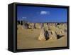 Limestone Pillars in the Pinnacles Desert, Nambung National Park, Western Australia, Australia-Steve & Ann Toon-Framed Stretched Canvas