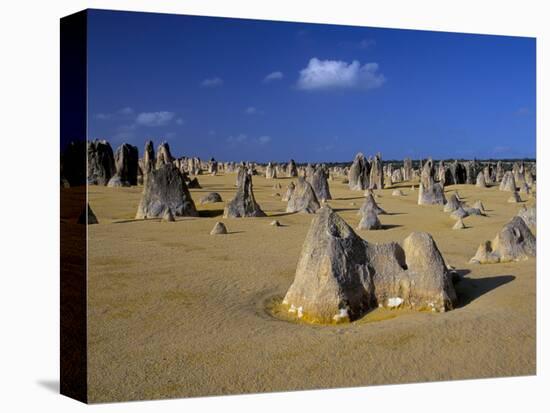 Limestone Pillars in the Pinnacles Desert, Nambung National Park, Western Australia, Australia-Steve & Ann Toon-Stretched Canvas