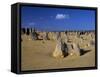 Limestone Pillars in the Pinnacles Desert, Nambung National Park, Western Australia, Australia-Steve & Ann Toon-Framed Stretched Canvas