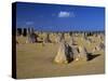 Limestone Pillars in the Pinnacles Desert, Nambung National Park, Western Australia, Australia-Steve & Ann Toon-Stretched Canvas