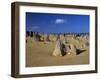 Limestone Pillars in the Pinnacles Desert, Nambung National Park, Western Australia, Australia-Steve & Ann Toon-Framed Photographic Print