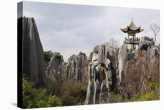 Limestone Pinnacles in Shilin, Stone Forest, at Lunan, Yunnan, China, Asia-Bruno Morandi-Stretched Canvas