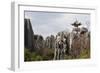 Limestone Pinnacles in Shilin, Stone Forest, at Lunan, Yunnan, China, Asia-Bruno Morandi-Framed Photographic Print