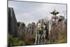 Limestone Pinnacles in Shilin, Stone Forest, at Lunan, Yunnan, China, Asia-Bruno Morandi-Mounted Photographic Print