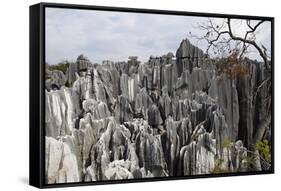 Limestone Pinnacles in Shilin, Stone Forest, at Lunan, Yunnan, China, Asia-Bruno Morandi-Framed Stretched Canvas