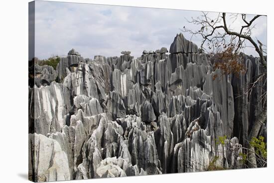 Limestone Pinnacles in Shilin, Stone Forest, at Lunan, Yunnan, China, Asia-Bruno Morandi-Stretched Canvas