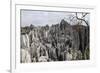 Limestone Pinnacles in Shilin, Stone Forest, at Lunan, Yunnan, China, Asia-Bruno Morandi-Framed Photographic Print