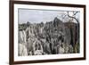 Limestone Pinnacles in Shilin, Stone Forest, at Lunan, Yunnan, China, Asia-Bruno Morandi-Framed Photographic Print