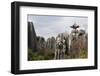 Limestone Pinnacles in Shilin, Stone Forest, at Lunan, Yunnan, China, Asia-Bruno Morandi-Framed Photographic Print