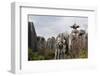 Limestone Pinnacles in Shilin, Stone Forest, at Lunan, Yunnan, China, Asia-Bruno Morandi-Framed Photographic Print