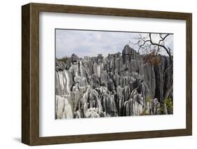 Limestone Pinnacles in Shilin, Stone Forest, at Lunan, Yunnan, China, Asia-Bruno Morandi-Framed Photographic Print