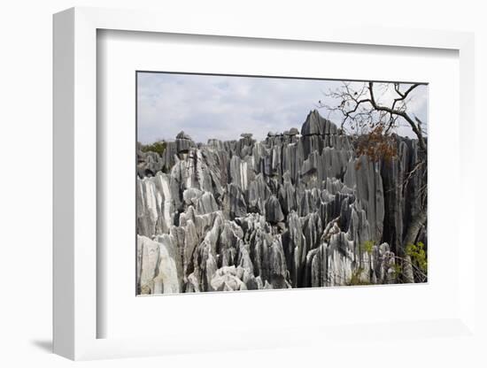 Limestone Pinnacles in Shilin, Stone Forest, at Lunan, Yunnan, China, Asia-Bruno Morandi-Framed Photographic Print