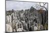 Limestone Pinnacles in Shilin, Stone Forest, at Lunan, Yunnan, China, Asia-Bruno Morandi-Mounted Photographic Print