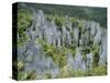 Limestone Pinnacles on Mount Api, Gunung Mulu National Park, Sarawak, Island of Borneo, Malaysia-David Poole-Stretched Canvas