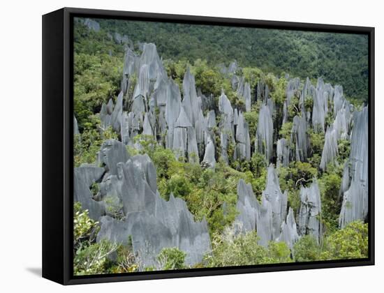 Limestone Pinnacles on Mount Api, Gunung Mulu National Park, Sarawak, Island of Borneo, Malaysia-David Poole-Framed Stretched Canvas