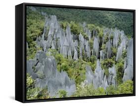 Limestone Pinnacles on Mount Api, Gunung Mulu National Park, Sarawak, Island of Borneo, Malaysia-David Poole-Framed Stretched Canvas