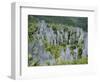 Limestone Pinnacles on Mount Api, Gunung Mulu National Park, Sarawak, Island of Borneo, Malaysia-David Poole-Framed Photographic Print