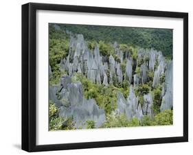 Limestone Pinnacles on Mount Api, Gunung Mulu National Park, Sarawak, Island of Borneo, Malaysia-David Poole-Framed Photographic Print
