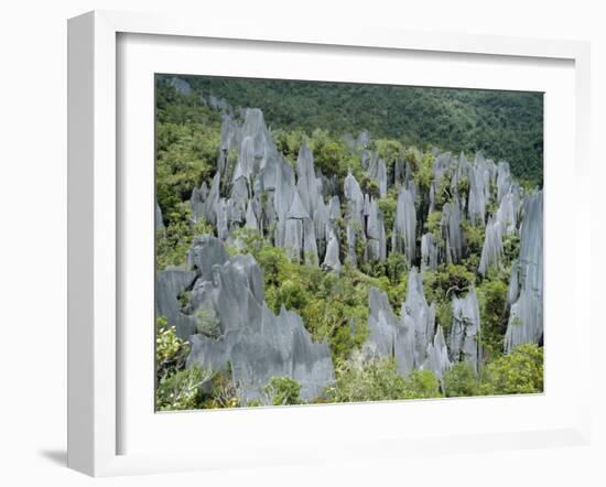 Limestone Pinnacles on Mount Api, Gunung Mulu National Park, Sarawak, Island of Borneo, Malaysia-David Poole-Framed Photographic Print