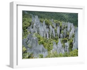 Limestone Pinnacles on Mount Api, Gunung Mulu National Park, Sarawak, Island of Borneo, Malaysia-David Poole-Framed Photographic Print