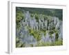 Limestone Pinnacles on Mount Api, Gunung Mulu National Park, Sarawak, Island of Borneo, Malaysia-David Poole-Framed Photographic Print