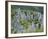 Limestone Pinnacles on Mount Api, Gunung Mulu National Park, Sarawak, Island of Borneo, Malaysia-David Poole-Framed Photographic Print