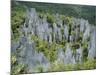 Limestone Pinnacles on Mount Api, Gunung Mulu National Park, Sarawak, Island of Borneo, Malaysia-David Poole-Mounted Photographic Print