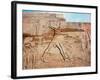 Limestone Relief of Pharaoh Seti I, Karnak, Egypt, C1290-C1279 Bc-null-Framed Photographic Print