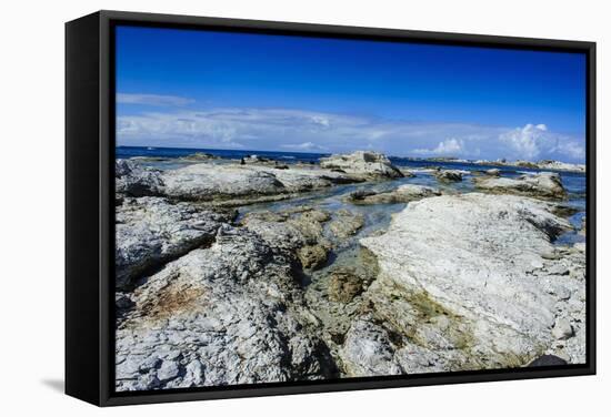 Limestone Rocks in the Clear Waters of Kaikoura Peninsula, South Island, New Zealand, Pacific-Michael Runkel-Framed Stretched Canvas