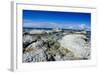 Limestone Rocks in the Clear Waters of Kaikoura Peninsula, South Island, New Zealand, Pacific-Michael Runkel-Framed Photographic Print