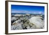 Limestone Rocks in the Clear Waters of Kaikoura Peninsula, South Island, New Zealand, Pacific-Michael Runkel-Framed Photographic Print