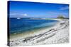 Limestone Rocky Beach on the Clear Waters of Kaikoura Peninsula, South Island, New Zealand, Pacific-Michael Runkel-Stretched Canvas