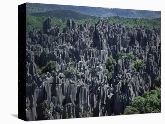 Limestone Stone Forest, Near Kunming, Yunnan Province, China-Occidor Ltd-Stretched Canvas