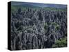 Limestone Stone Forest, Near Kunming, Yunnan Province, China-Occidor Ltd-Stretched Canvas