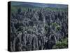 Limestone Stone Forest, Near Kunming, Yunnan Province, China-Occidor Ltd-Stretched Canvas