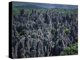 Limestone Stone Forest, Near Kunming, Yunnan Province, China-Occidor Ltd-Stretched Canvas