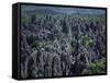 Limestone Stone Forest, Near Kunming, Yunnan Province, China-Occidor Ltd-Framed Stretched Canvas
